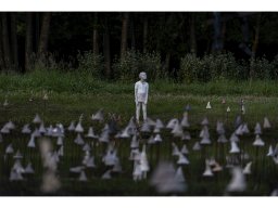 kleine dromer  kopieren